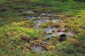 wastewater will make its way back into the house, usually in the lowest situated drain, sink or toilet. Patches of unusually vibrant vegetation above the leach field during dry conditions.