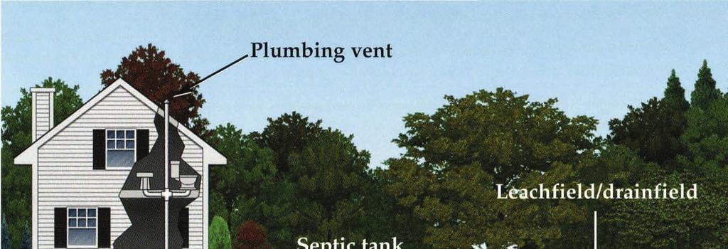 What Is A Septic System?