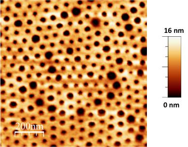 Figure S1: AFM image of the nanoperforated