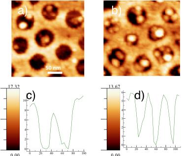 Figure S6: AFM images of a) Au- PTiO2-1C and b) Au- PTiO2-2C and example of height