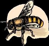 Post Road, Suite 1 Shelby, NC 28152 704-482-4365 phone 704-480-6484 fax cleveland.ces.ncsu.edu Greg Traywick County Extension Director greg_traywick@ncsu.edu clevelandcountybeekeepers.