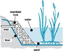 Constructed Wetlands A constructed wetland system treats wastewater by filtration, settling, and bacterial decomposition in a lined marsh.