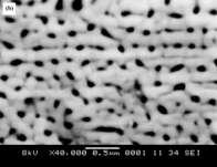 The morphology and structure of porous aluminium oxide film obtained were characterised by Scanning electron microscope (SEM) model JEOL JSM-6460LA SEM.