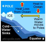 2 Types of Frozen Water: 1) (Ice Floes) : Composed of seawater that has frozen in the winter Expands during winter to cover about 5% of the northern oceans and 8% of the southern oceans Is important