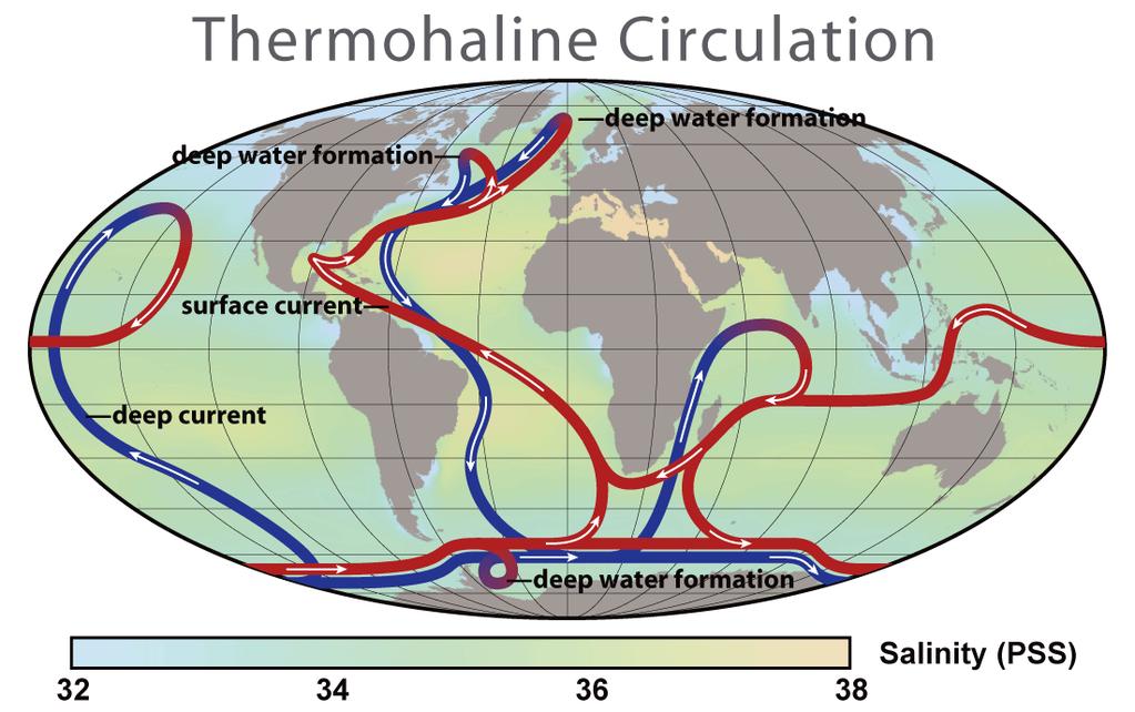 Thermohaline Circulation Thermohaline circulation is a huge conveyor belt