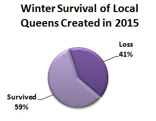 QUEENS, QUEENS, QUEENS We hear lots of issues related to queen problems. On the survey we asked what percentage of loss could be attributed to queen problems.