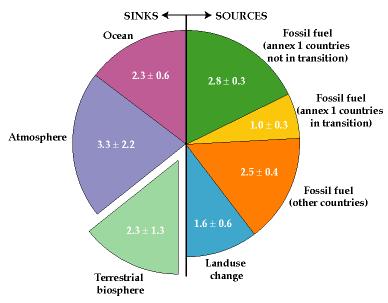Mitigation: its background missing sink Global annual balance of carbon sinks