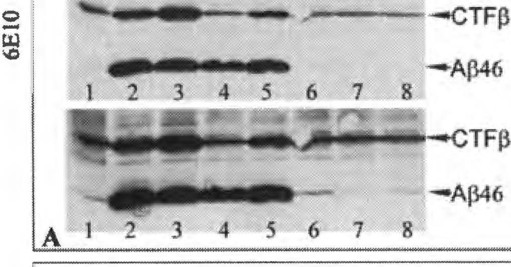 Lysates were separated on 1 O/l 8%SDS-P AGE system.