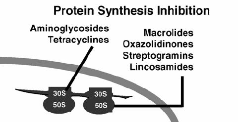 Target protein Function Outcome