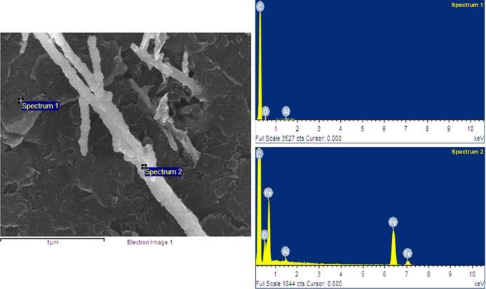 S2 EDX measurements Fig. S1 FE-SEM image of as-prepared iron nanowires with EDX spectra.