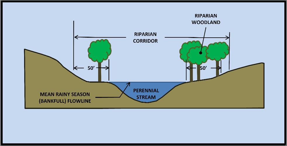Example 5: Perennial Stream Located Outside of the Urban/Rural Services Line Since it s a perennial stream, the riparian corridor is the area encompassing 50 from either side of the mean rainy season