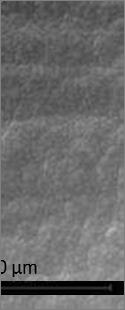 Fig 2 (a) Fig 2 (b) Fig SEM Micrographs of electrodeposited Zn Ni