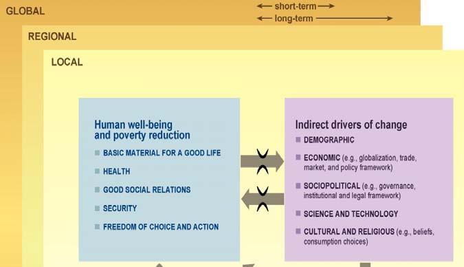 Millennium Assessment Framework Human Well-being and Poverty Reduction Basic material for a good life Health Good Social Relations Human Well-being Security Freedom of