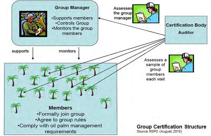 E. Internal control system for group