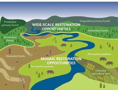 ETFRN News 57: September 2015 Figure 1. Wide-scale and mosaic opportunities Source: IUCN and WRI These challenges are often exacerbated by fragmentation or by smallholders isolation.