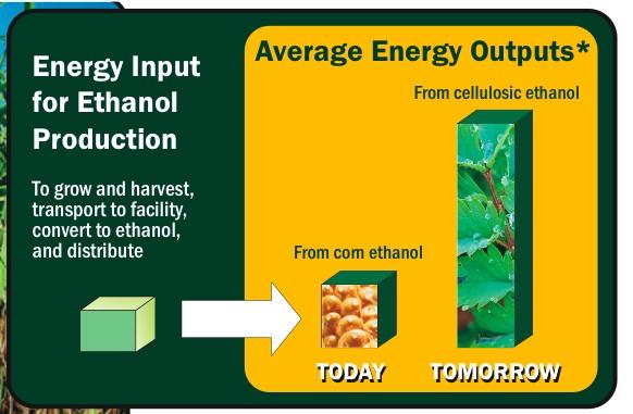 perennial grass yields more energy than corn-ethanol The two largest