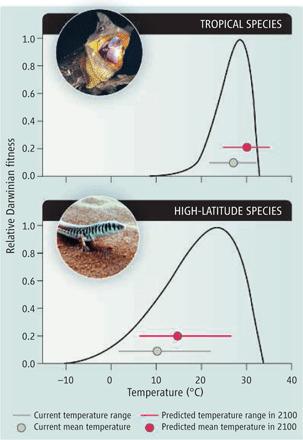 Tropical species have narrower current thermal tolerances