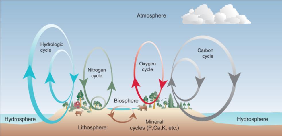Biogeochemical Cycles Recycling processes that supply essential substances to the biosphere Connect Earth s subsystems Atmosphere, hydrosphere, lithosphere Law of conservation of energy and matter