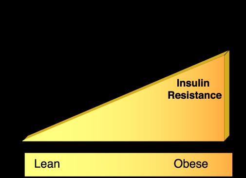 2005 3 Insulin Requirement