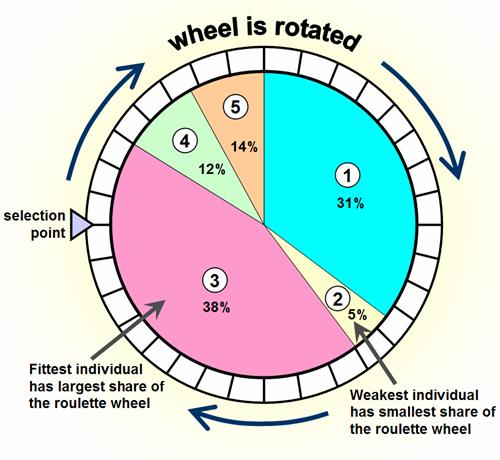 Divide wheel into subintervals, one for each individual in the current generation. Interval length is proportional to individual s fitness.