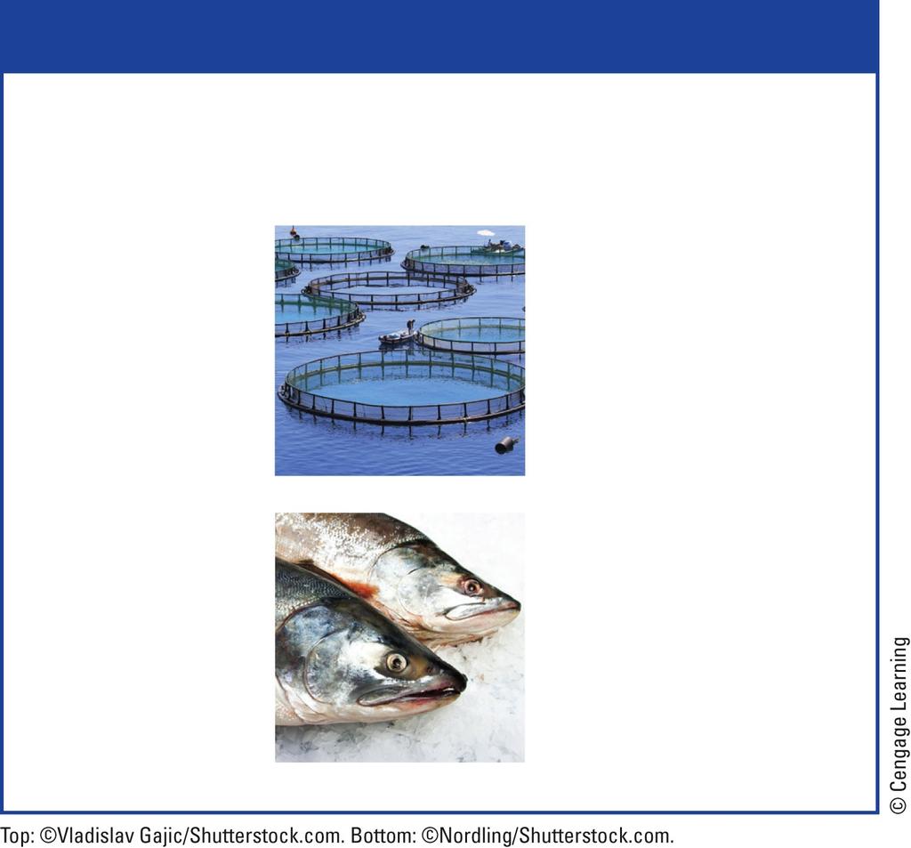 Trade-Offs Aquaculture Advantages High efficiency Disadvantages Large inputs of land, feed, and water High yield Large waste output Reduced