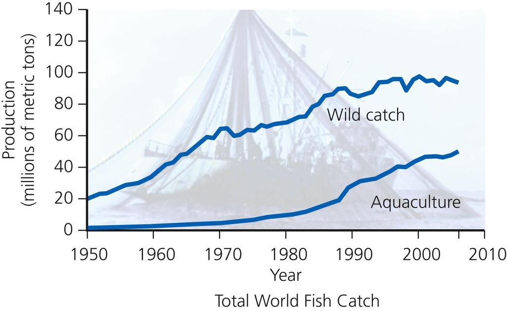 World Seafood Production, Including Both