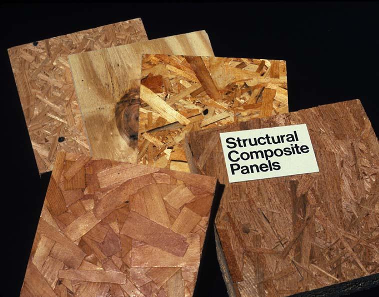 Wood & Biocomposites: the science of taking biomaterials apart & reconstructing them for specific