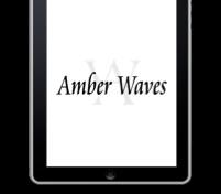Amber Waves on Your Tablet On the go? Stay connected with our Amber Waves app for tablets. Subscribe to the quarterly magazine on itunes or Google Play. ERS Home USDA.