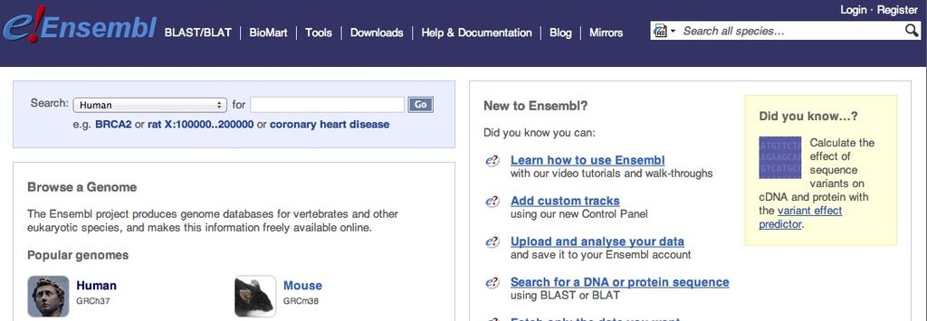 Overview of genome Browsers