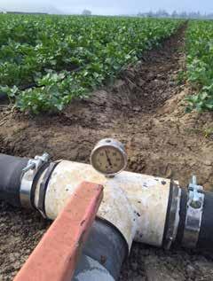 Observations about the condition of the irrigation system were noted both pre- and post-treatment.
