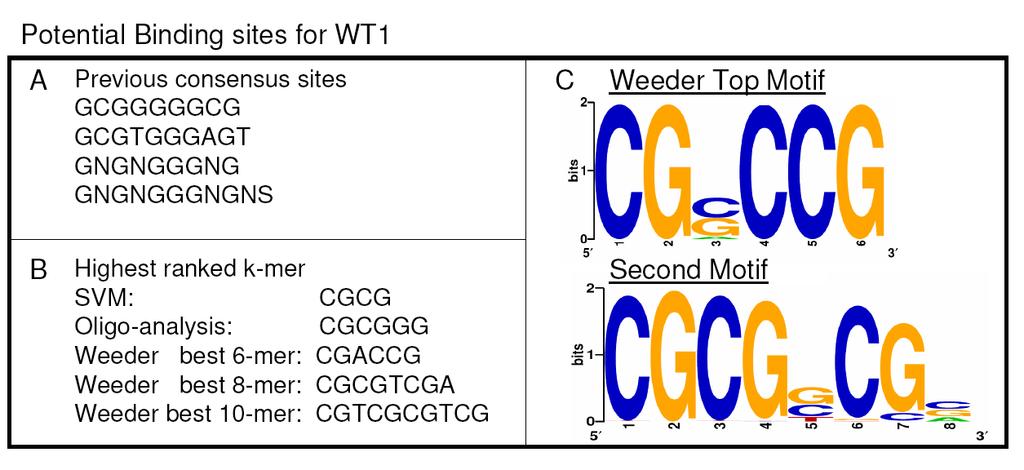 Some human target predictions Motif discovery used for new candidate WT1 binding motif: Fig.