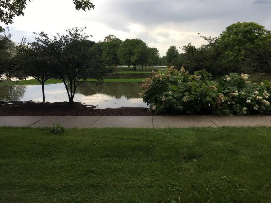 City s Post-Storm Actions Short Term Attend Illinois Emergency Management Agency s Damage Assessment Workshop on July 18th to determine region s eligibility for state or federal assistance No-charge