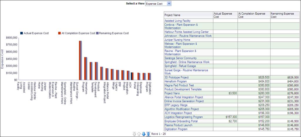 Sample Dashboards Cost by Type Section Use the Select a View list to determine how project cost information will display.