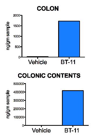 BT-11 Targets LANCL2 In The GI Tract 9 Cmax = 28ng/mL t1/2 = 3.