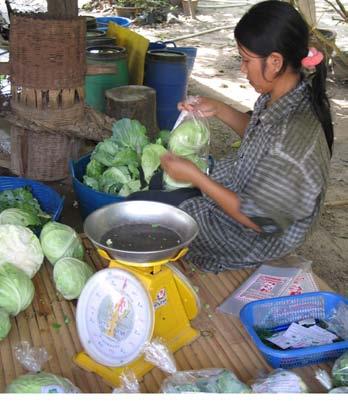 Thailand: Develop local markets Create awareness, information campaigns, regional labels Market intelligence, business