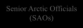 Arctic Council Structure 2015 2017 Chairmanship: UNITED STATES *Six indigenous