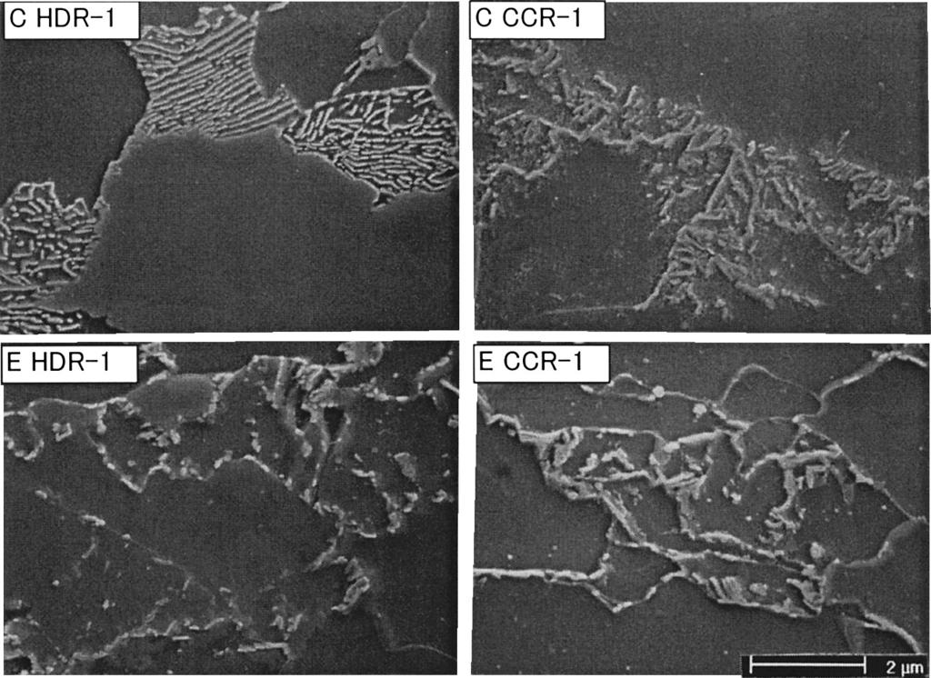 Fig. 10. Effects of production routes, HDR-1 and CCR-1, on the scanning electron micrographs of Steels C and E. Fig. 11. Effects of production routes and alloying elements on the ferrite grain size.