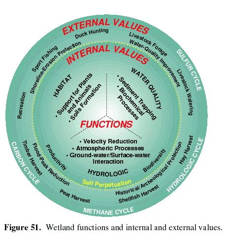 How can we assess what functions and values a particular wetland provides?