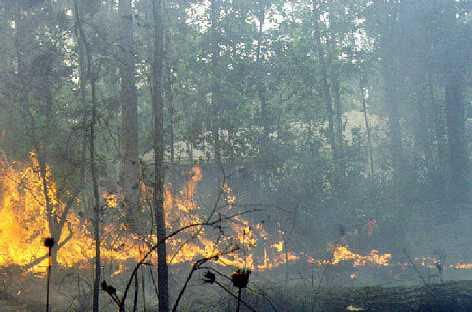Defining the WUI Fire A zone where man-made