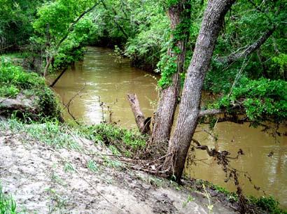 Water Pollution in After high nutrient levels were found in in 1998, the Texas Commission on Environmental Quality also became concerned about E. coli bacteria in 2002.