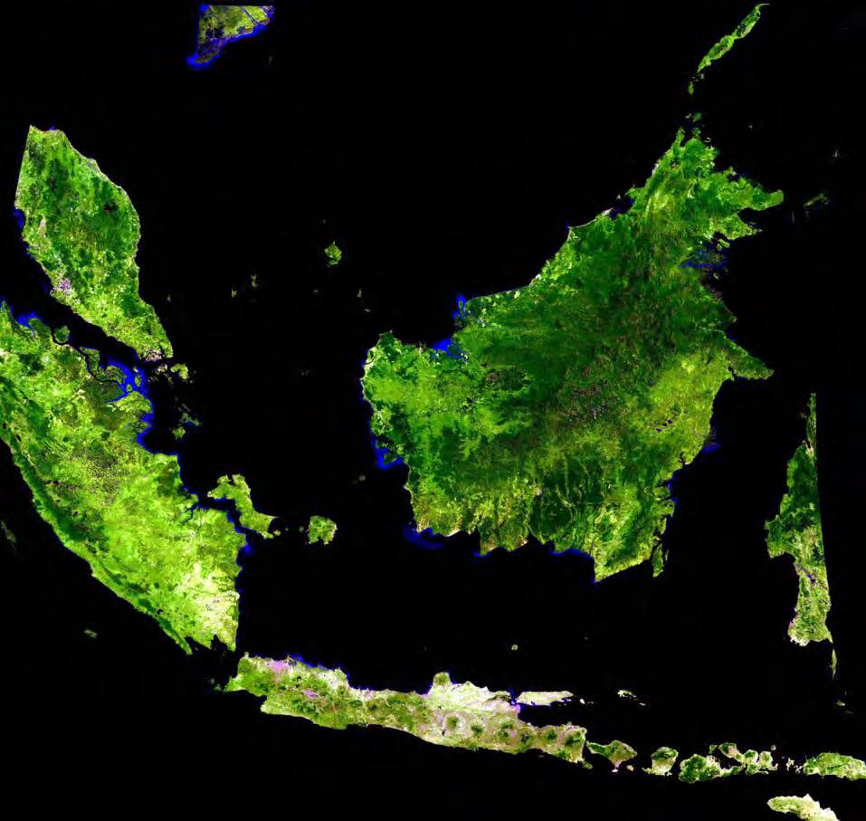 Land cover change Assessment of peat swamp forests as indicator for peatland