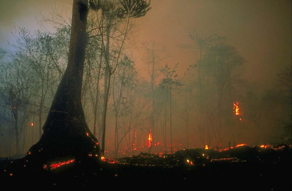 Analysis of fire occurrence from 1997 2005 in Borneo Number of fires per year Spatio-temporal pattern Interannual