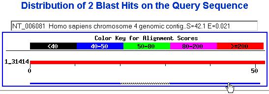 Genome BLAST