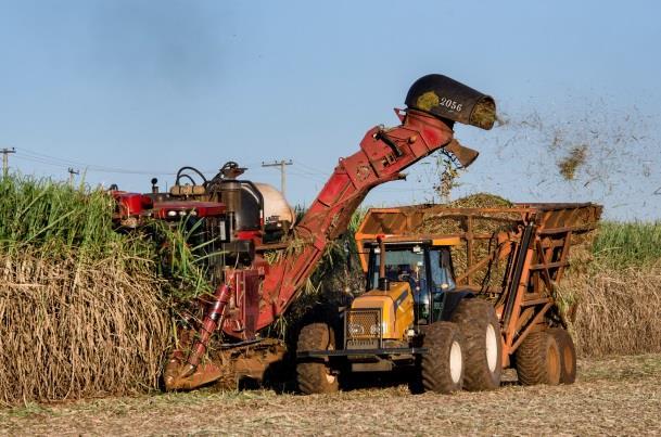 Leaves and cane tops Mechanical harvesting