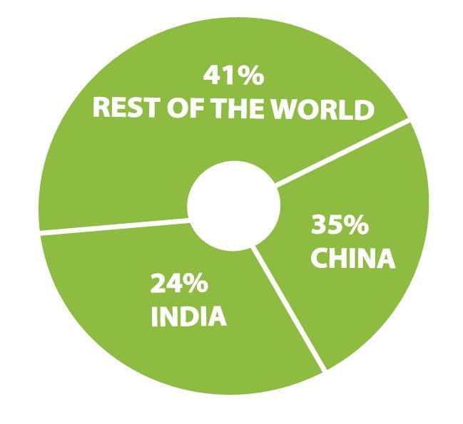 INDIA AND CHINA 59% of the world s family farms is located in India (24%) and China