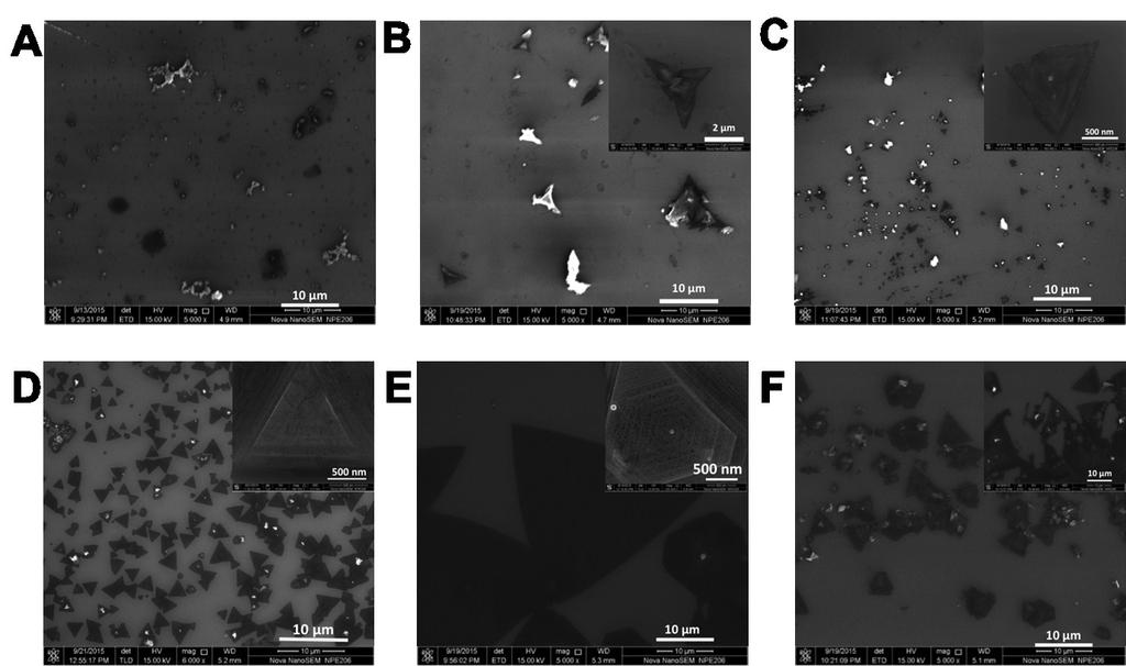 Fig. S8: SEM images of WS 2 flakes grown via CVD process at (A) 700 C, () 750 C, (C) 800 C, (D) 850 C, (E) 900 C and (F) 950 C. Inset shows respective magnified images.