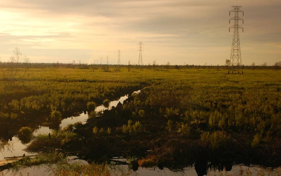 Peat drainage mobilises carbon: CO 2