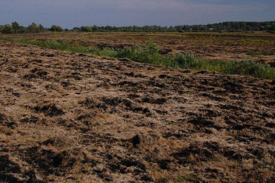 Ukraine In continental areas peat soils degrade irreversibly.
