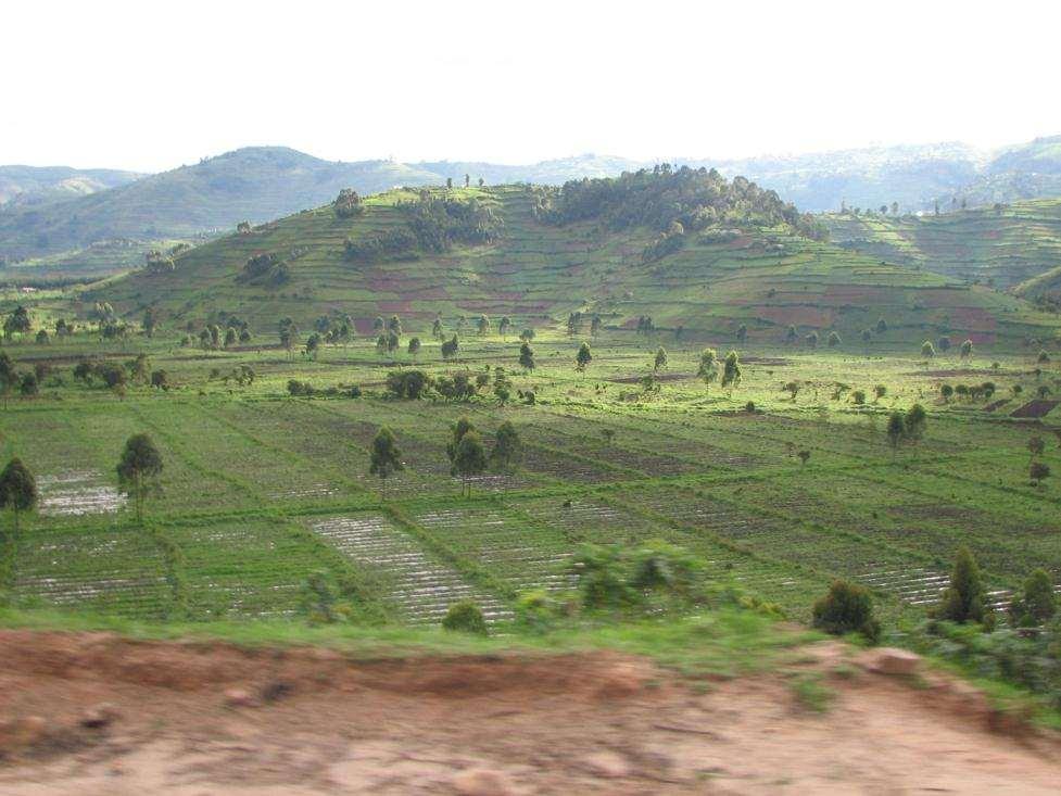 Uganda Ruhuma Fen (Kabale