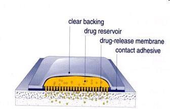(1) Liner - Protects the patch during storage. (2) Drug - Drug solution in direct contact with release liner.